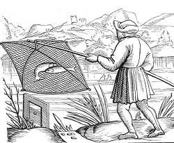 pond fisherman illustration