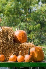 pumpkins on a hay bale