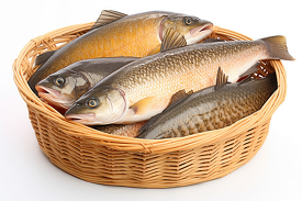raw fish piled in a basket