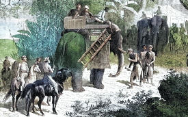 reception of travellers historical illustration