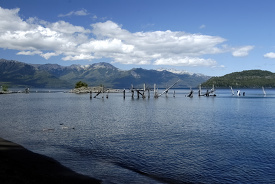 reminants of an old pier on lake argentina