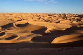 Sahara dunes at sunset