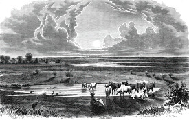 scene near lake tchad historical illustration africa