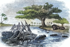 spearing the hippopotamus historical illustration africa