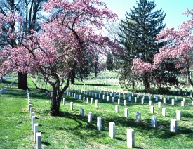Spring day at Arlington National Cemetery Arlington Virginia