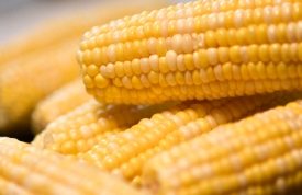 stack of ears of corn