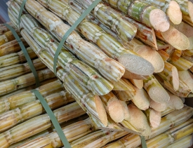 stacked sugar cane at local market in singapore