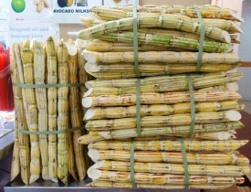 sugar cane at local market in singapore