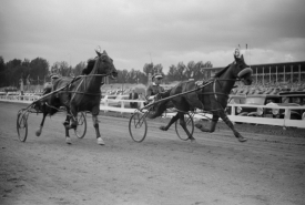 Sulky races at the Rutland Fair Vermont 1941 