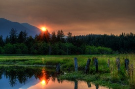 Sunset in Quilcene Olympic National Forest Washington
