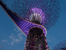 Supergroove trees at the light show of Gardens by the Bay Singap