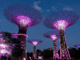 Supergroove trees Gardens by the Bay Singapore