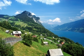 Switzerland lush green landscape with view of lake