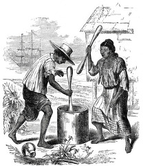 Tagal Indians Cleaning Rice