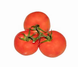 three fresh tomatoes attached to stem white background photo ima