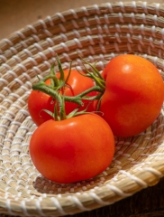 three fresh tomatoes in basket photo image