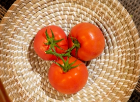three freshly picked tomatoes in weaved basket photo image 6043