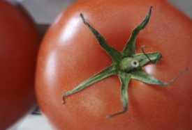 tomato-closeup-picture-image-00841A