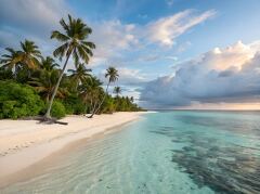 A serene beach stretches along a clear turquoise sea, framed by lush palm trees and vibrant green foliage. Soft sand meets gentle waves, creating a picturesque escape at dusk.