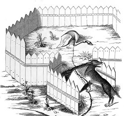 traping wolves with a snare during the middle ages illustration
