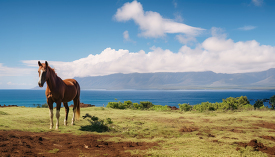 two horses standing along a field overlooking the pacific ocean
