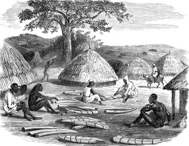 tying up ivory for the march historical illustration africa