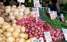 variety fresh white brown red potatoes at market
