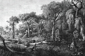 view of a valley in africa historical illustration africa