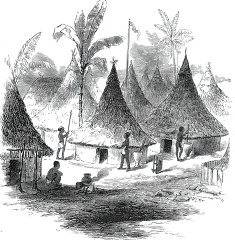 village on the guinea coast historical illustration africa
