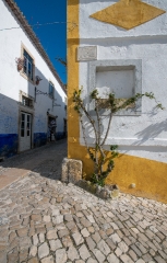vines on exterior white washed walls home obidos portugal