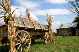 wagon with pumpkins on it in a field