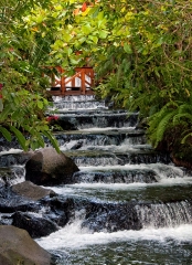 Waterfall Costa Rica Photograph