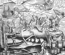 whale fishing medieval