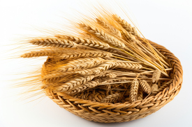 wheat in a basket