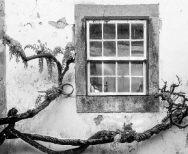 white washed building cobble stone street obidos portugal
