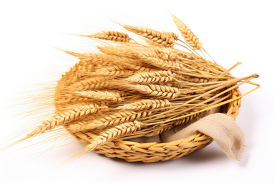 whole wheat grain in a basket