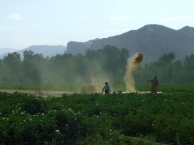 Winnowing grain Afghanistan
