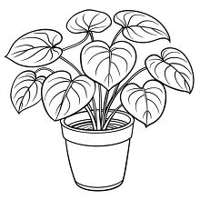Pilea plant with heart shaped leaves in a pot clipart