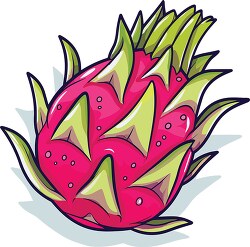 pink and green dragon fruit clip art