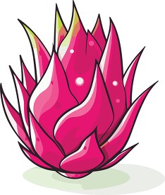 pink dragon fruit clip art