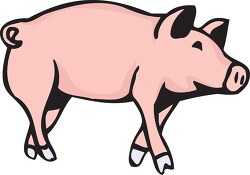 pink pig standing on all fours side view clip art