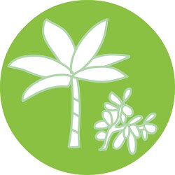 plant palm tree round icon clipart