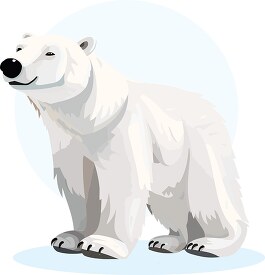 polar bear shows off thick white fur