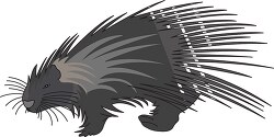 porcupine animal gray and brown clip art