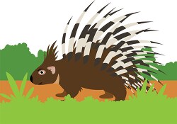 porcupine is standing in a field clip art