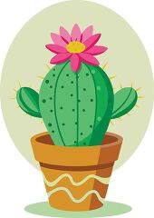 Potted Cactus with Blooming Flower