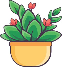 potted succulent plant with a pink flower
