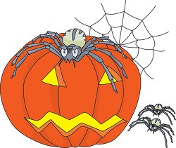 pumkin with spider web