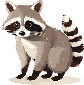 raccoon stands on all fours shows fluffy tail clip art