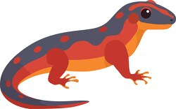 red and blue salamander with spots on its body